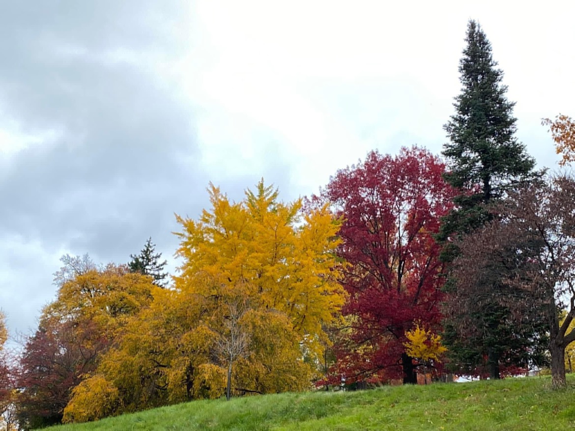 The strengths of neurodivergent students